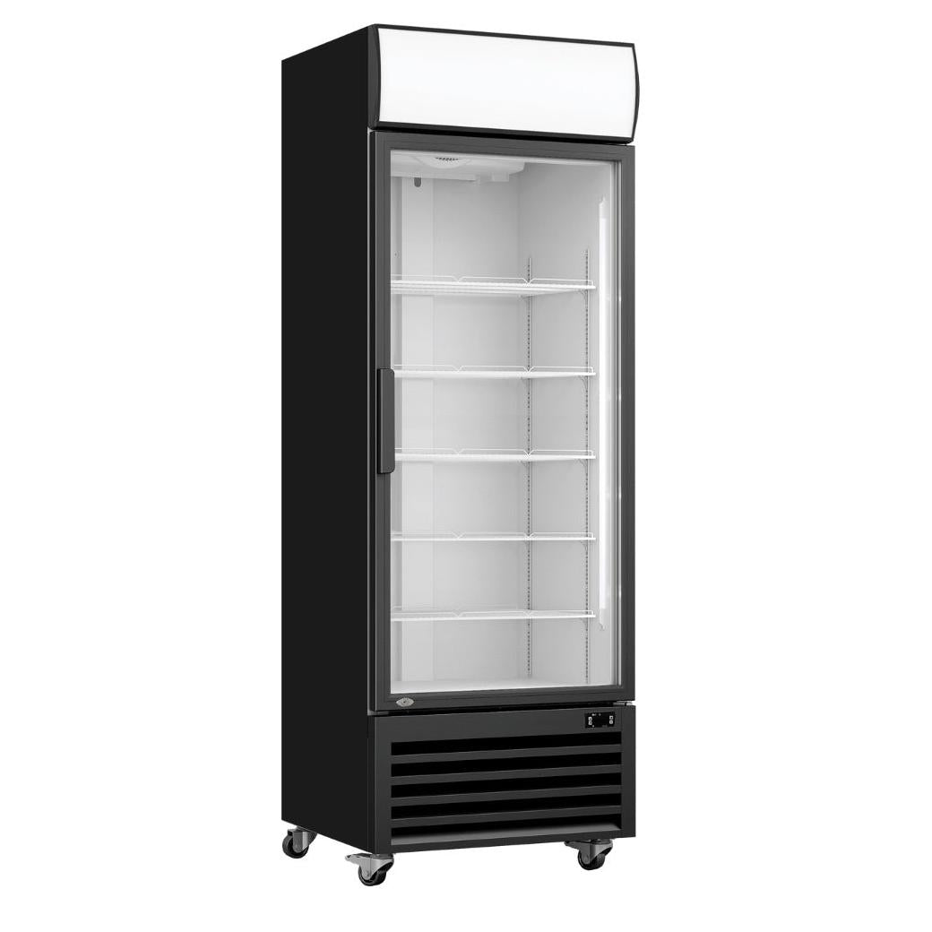 FE.D Thermaster-LG-370BP Single Glass Door Colourbond Upright Drink Fridge - LG-370BP Mattys