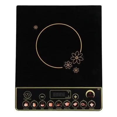 F.E.D. AC-200H Ceramic Induction Plate Mattys